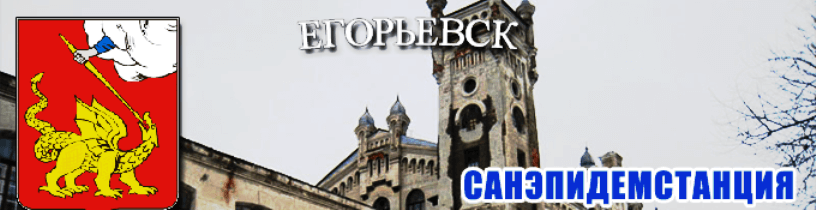 Дератизация в Егорьевске